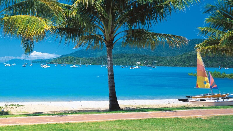 Palm Tree on Beach — Blue, Serene, Afternoon, Photograph, Sailboats, Mountains