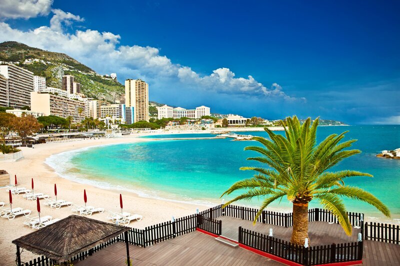Palm Tree on Beach — Blue, Serene, Afternoon, Photograph, Sea, Buildings