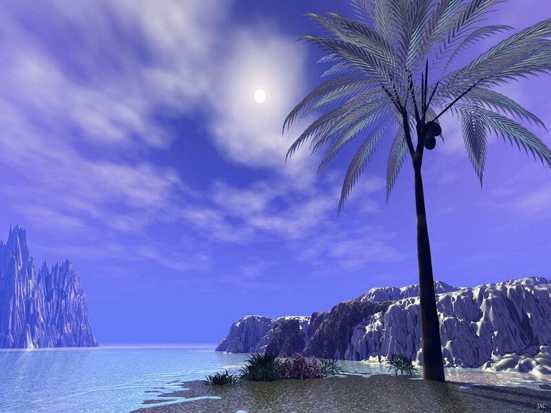 Palm Tree on Beach — Blue, Serene, Night, Digital Art