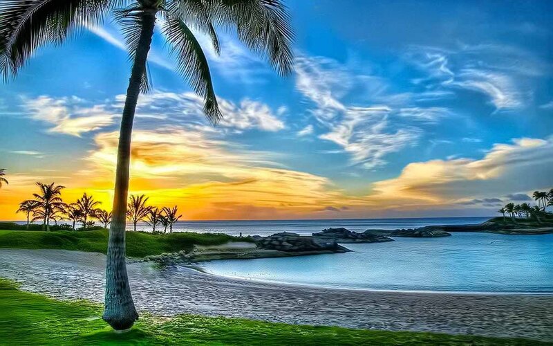 Palm Tree on Beach — Blue, Serene, Sunset