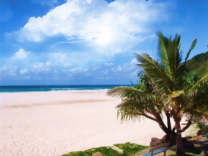Palm Tree on Beach — Blue, Serene