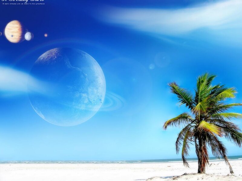 Palm Tree on Beach — Blue