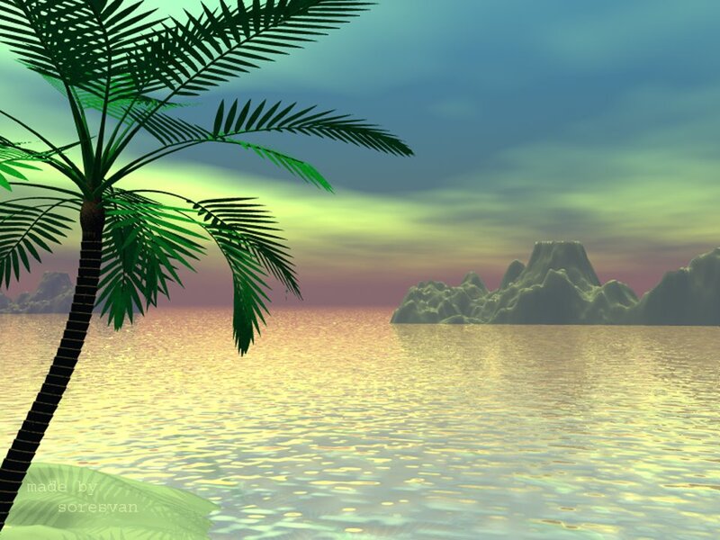 Palm Tree on Beach — Green, Serene