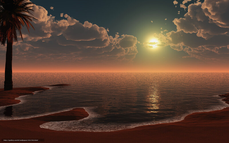 Palm Tree on Beach — Orange, Serene, Sunset, 3d Render, Palm Tree, Ocean, Clouds, Sun