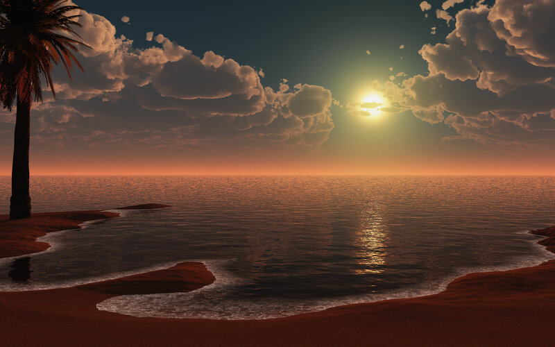 Palm Tree on Beach — Orange, Serene, Sunset, 3d Render, Palm Tree, Ocean, Sun