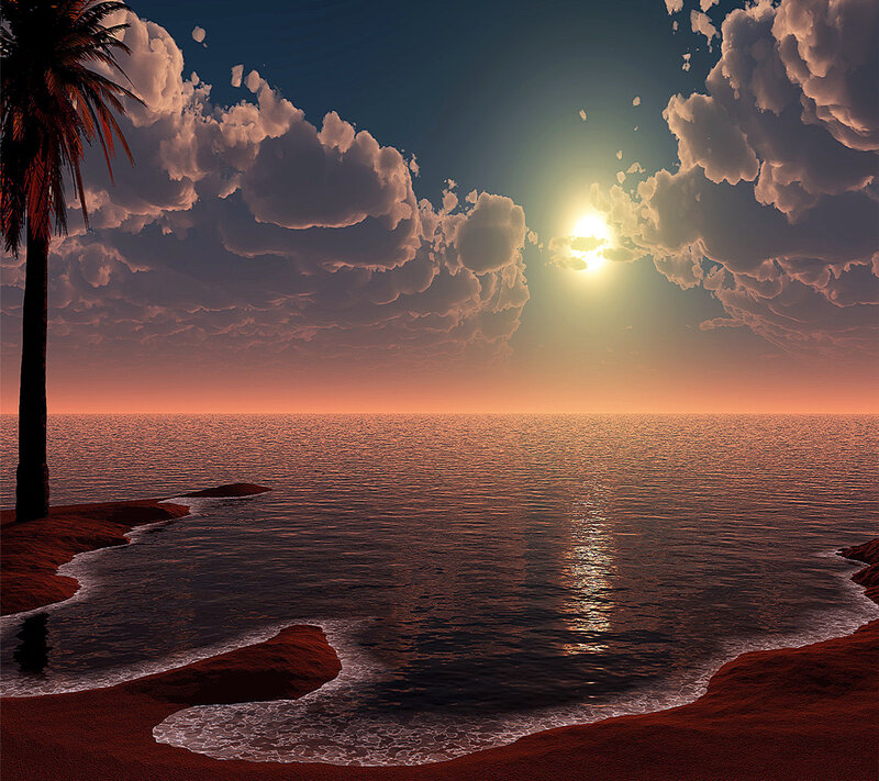 Palm Tree on Beach — Orange, Serene, Sunset, 3d Render, Palm Tree, Ocean