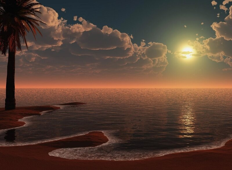 Palm Tree on Beach — Orange, Serene, Sunset, Digital Art, Ocean