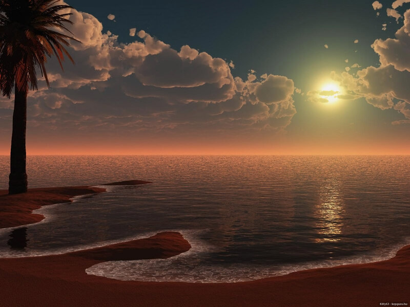 Palm Tree on Beach — Orange, Serene, Sunset, Digital Art