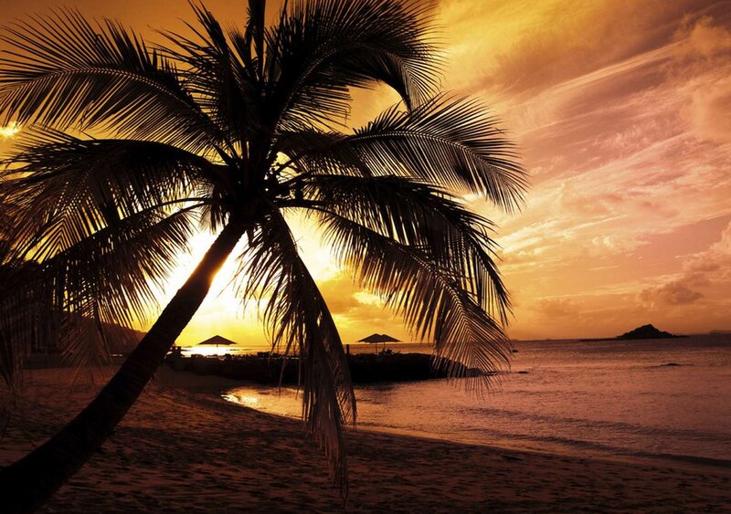 Palm Tree on Beach — Orange, Serene, Sunset, Photograph, Ocean, Umbrellas, Island