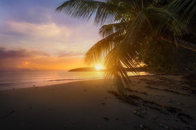 Palm Tree on Beach — Orange, Serene, Sunset, Photograph, Sun