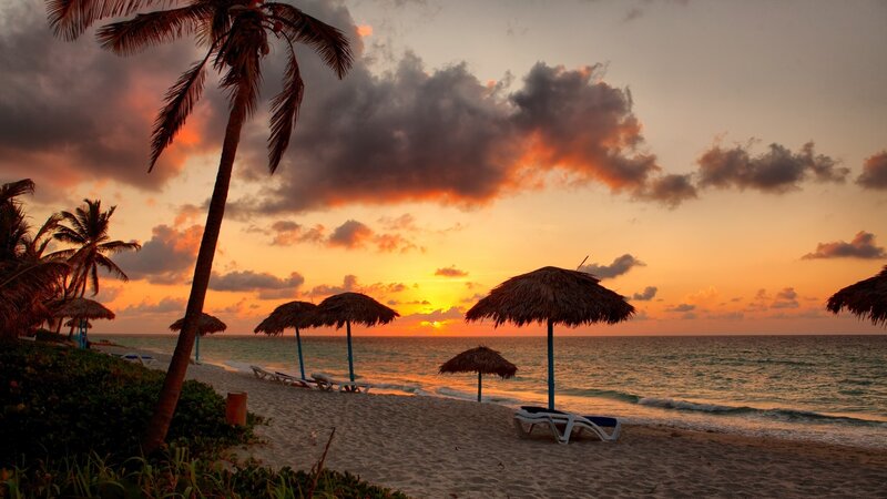 Palm Tree on Beach — Orange, Serene, Sunset, Photograph, Umbrellas