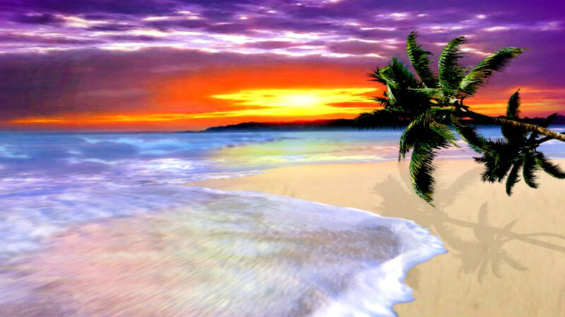 Palm Tree on Beach — Purple, Dramatic, Sunset, Digital Art