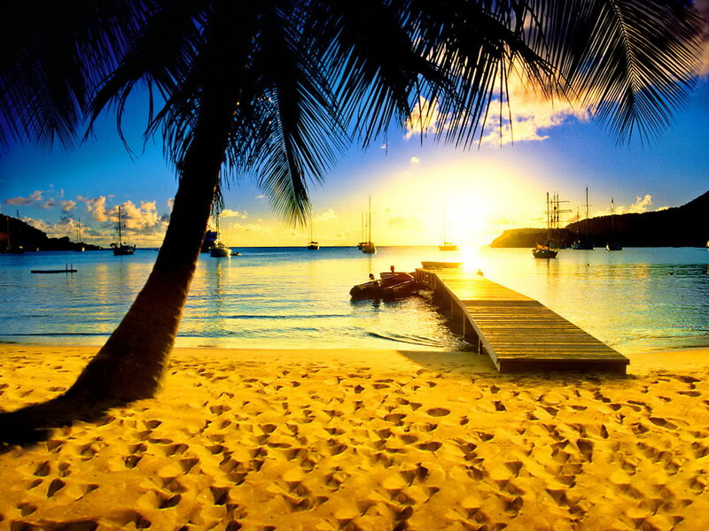 Palm Tree on Beach — Yellow, Serene