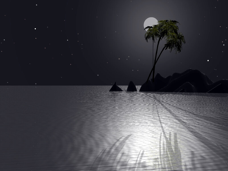 Palm Tree on Island — Black