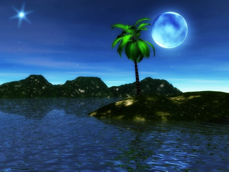 Palm Tree on Island