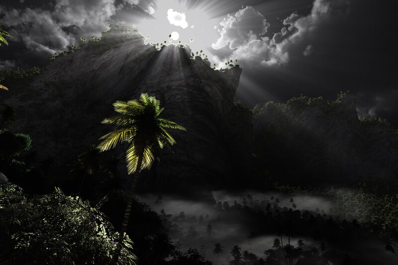 Palm Tree on Mountain