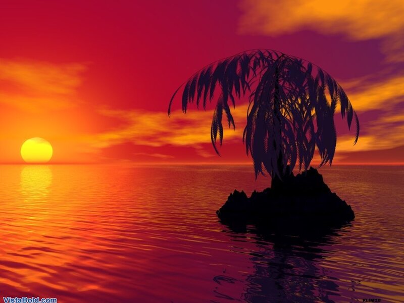 Palm Tree on Rock — Red