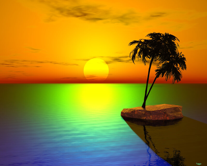 Palm Tree on Rock