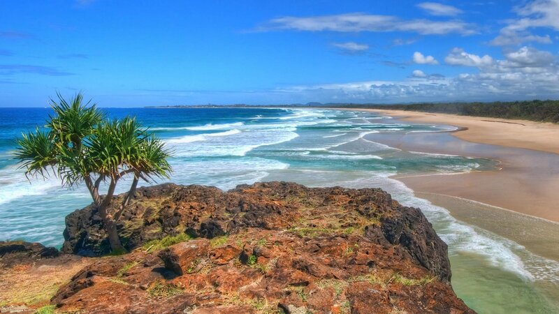 Palm Tree on Rocky Cliff — Blue