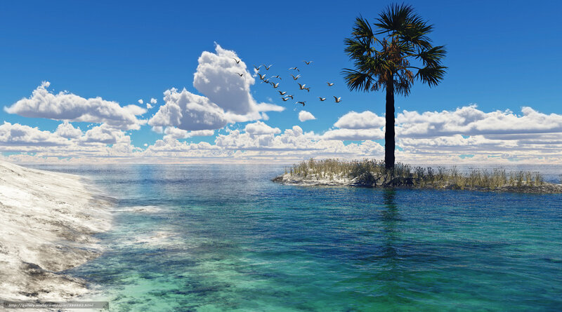 Palm Tree on Small Island — Blue, Serene, Afternoon