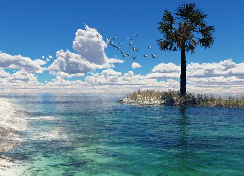 Palm Tree on Small Island — Blue, Serene