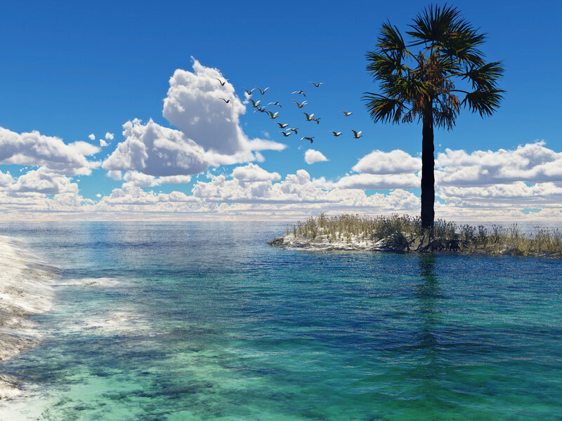 Palm Tree on Small Island — Blue