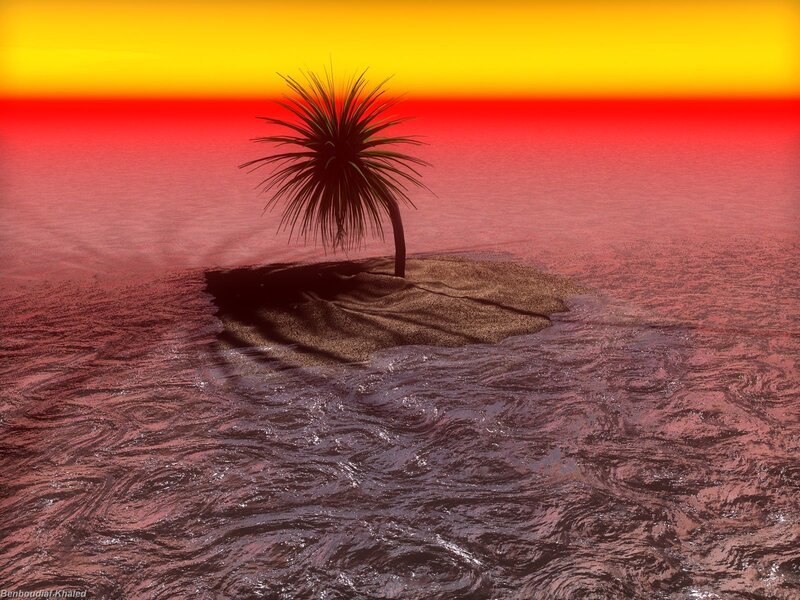 Palm tree on small island