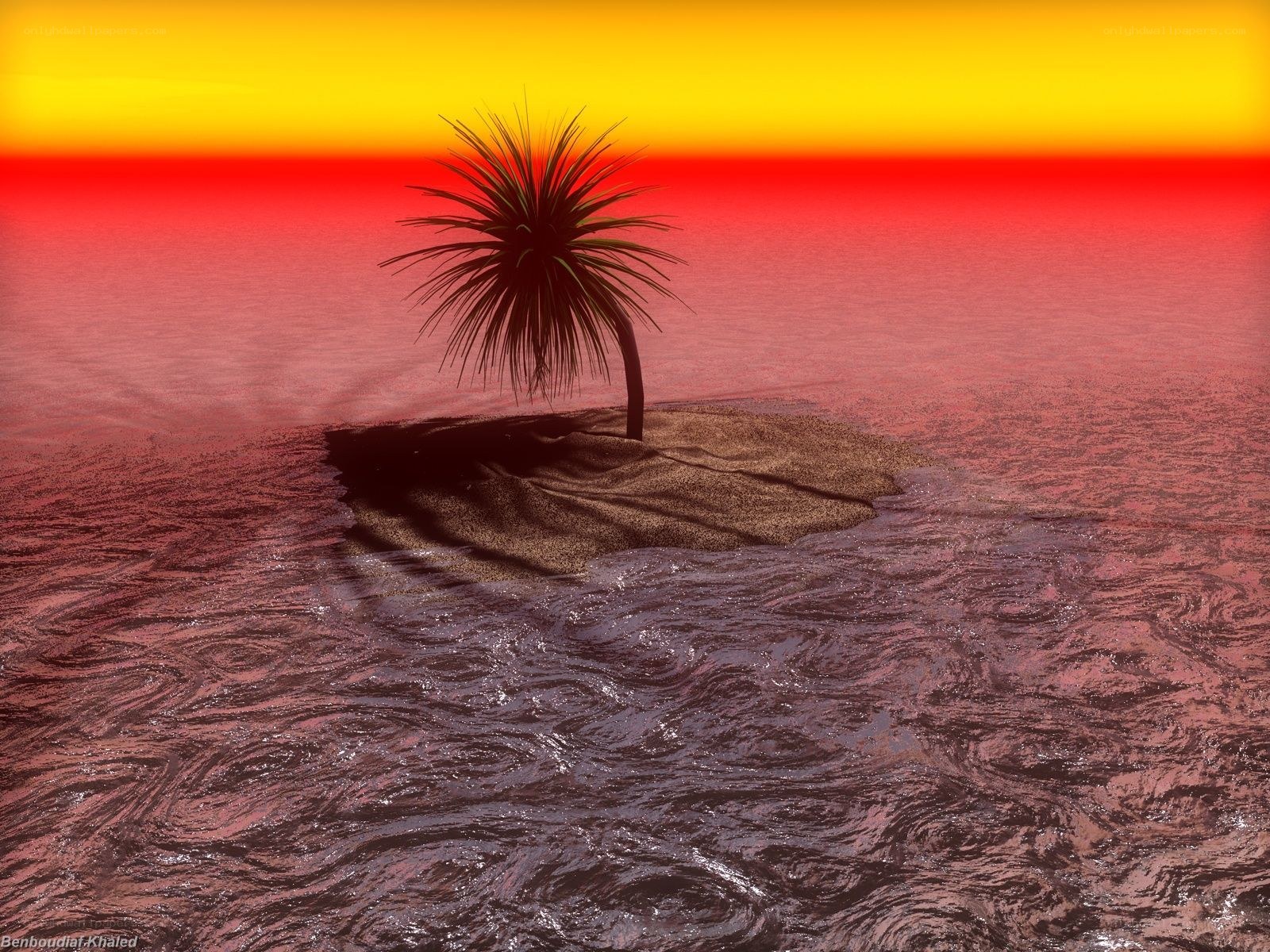 Palm tree on small island