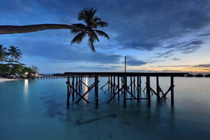 Palm tree over a pier at dusk