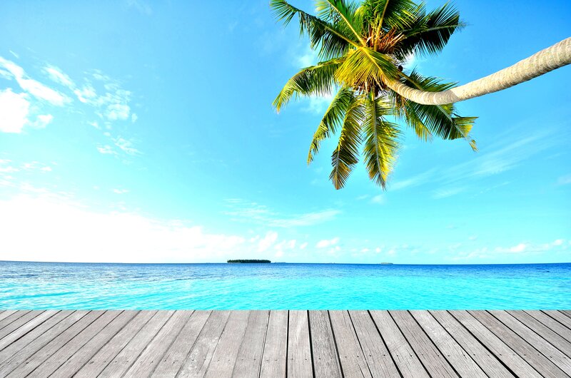 Palm Tree over Ocean