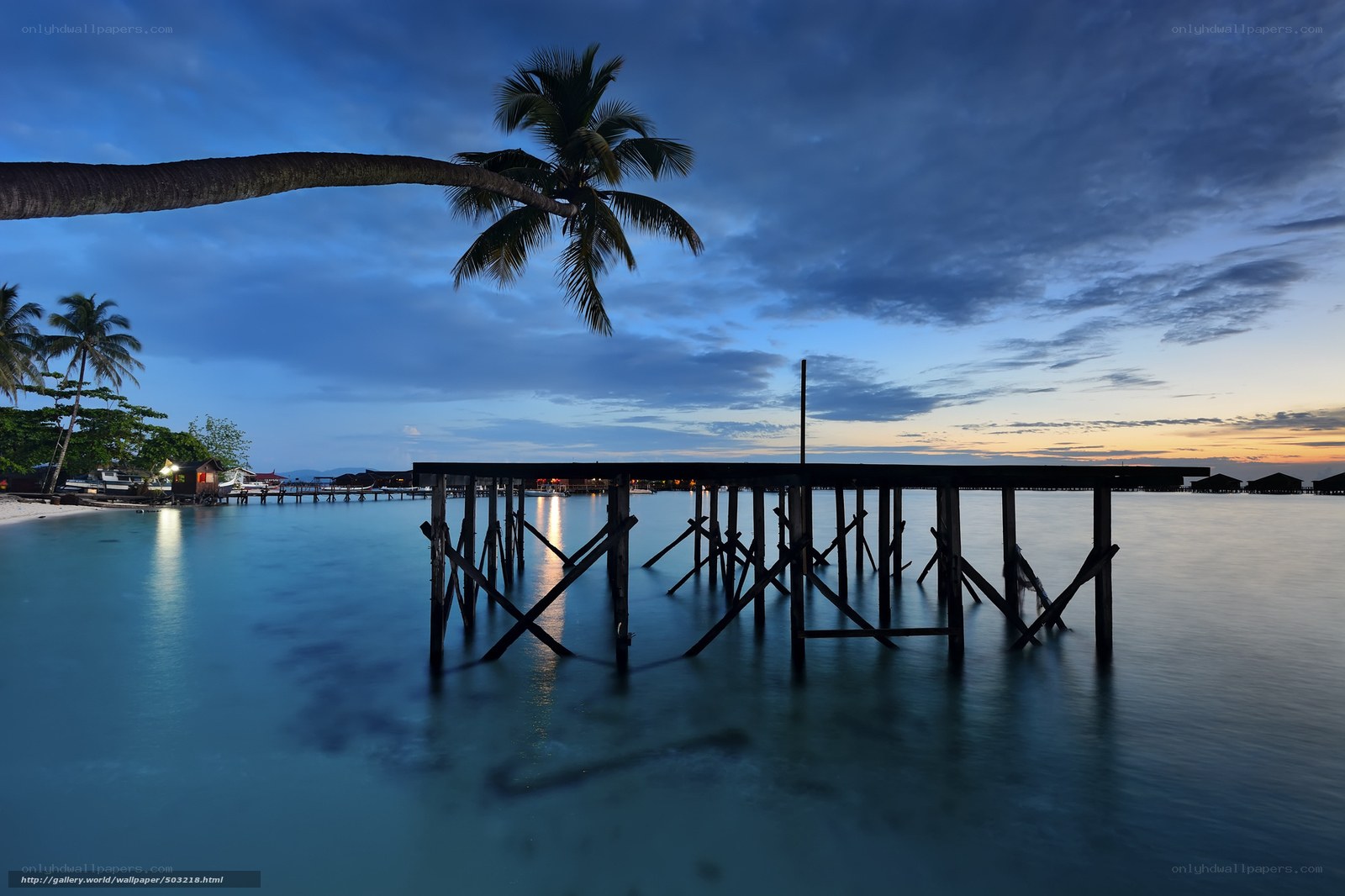Palm tree over pier at dusk