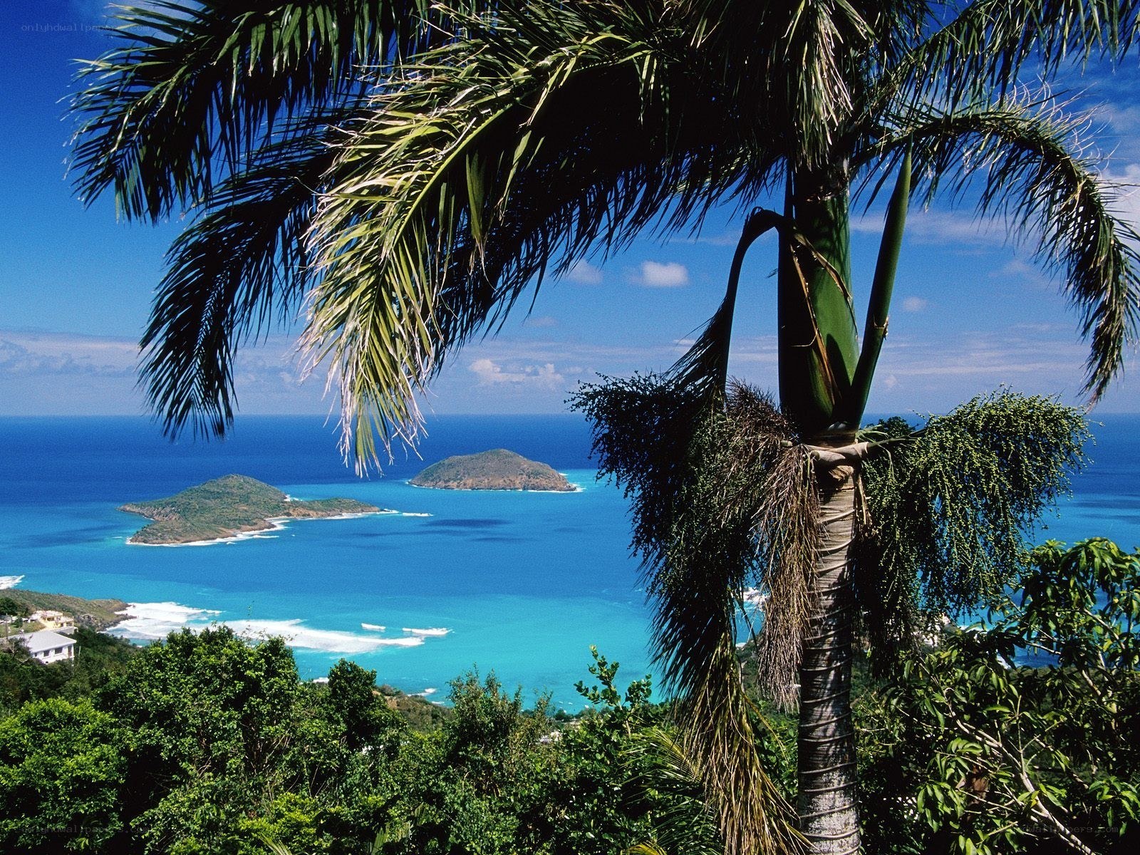 Palm tree overlooking tropical islands