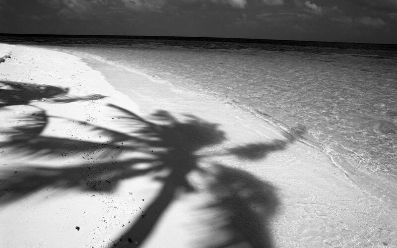 Palm tree shadow on beach
