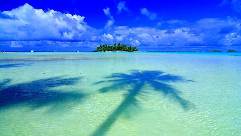 Palm Tree Shadow on Beach — Blue, Serene