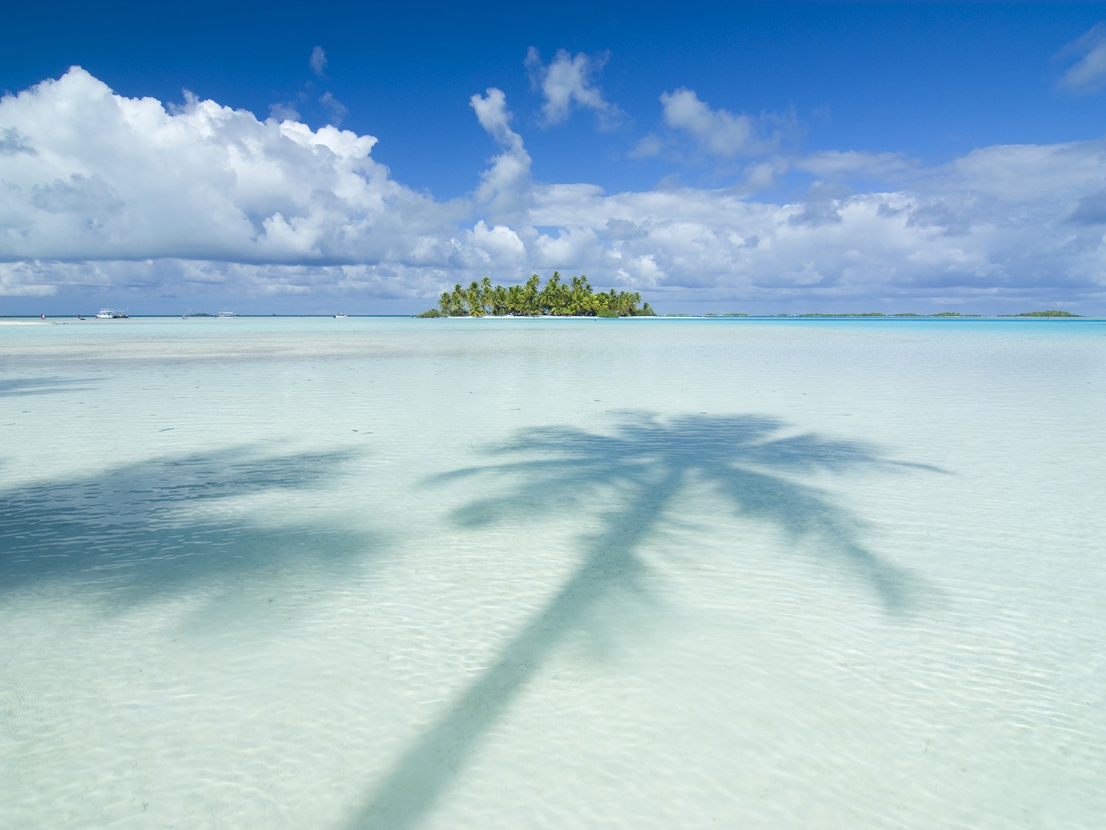 Palm tree shadow on tropical beach