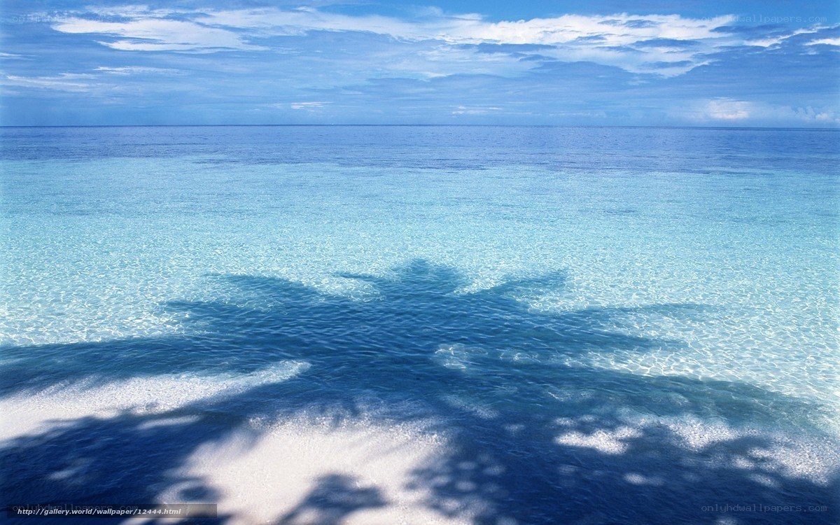 Palm tree shadow on tropical beach