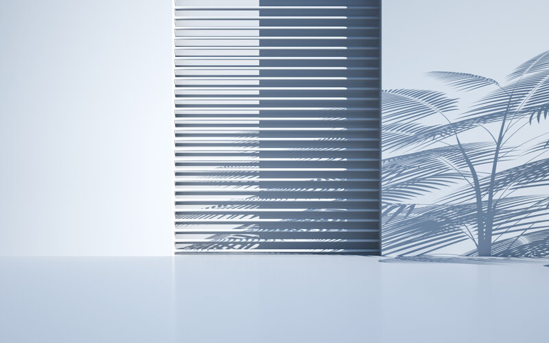 Palm Tree Shadow on Wall
