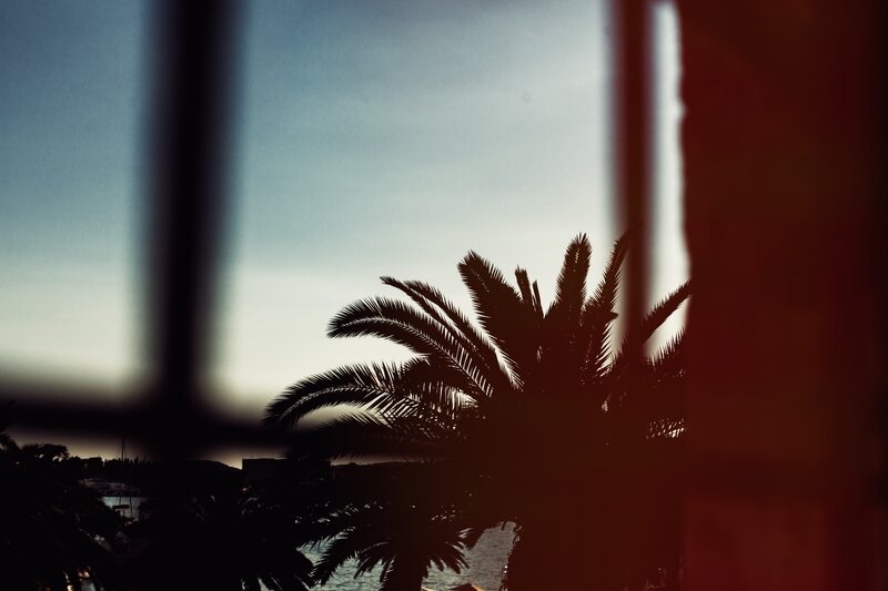Palm Tree Silhouette — Black