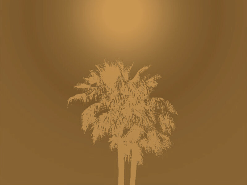 Palm Tree Silhouette — Brown