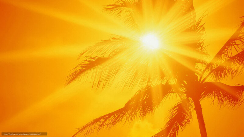 Palm Tree Silhouette — Yellow