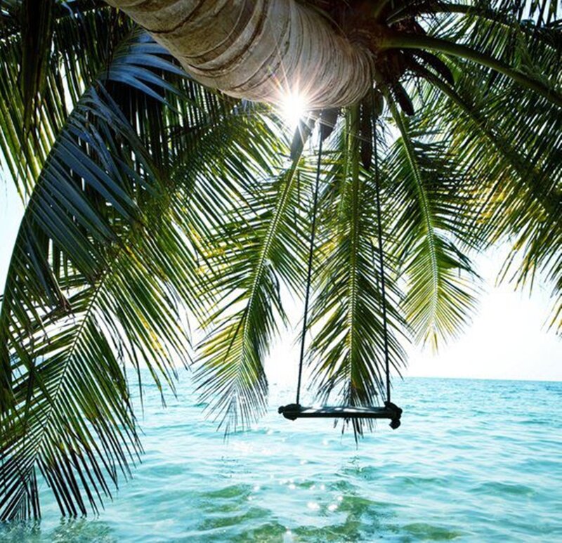 Palm Tree Swing