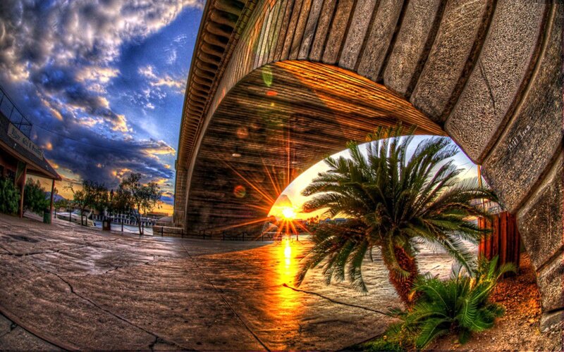 Palm Tree under Bridge — Blue