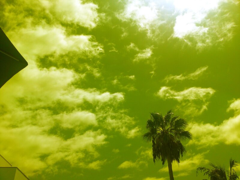 Palm Tree under Green Sky