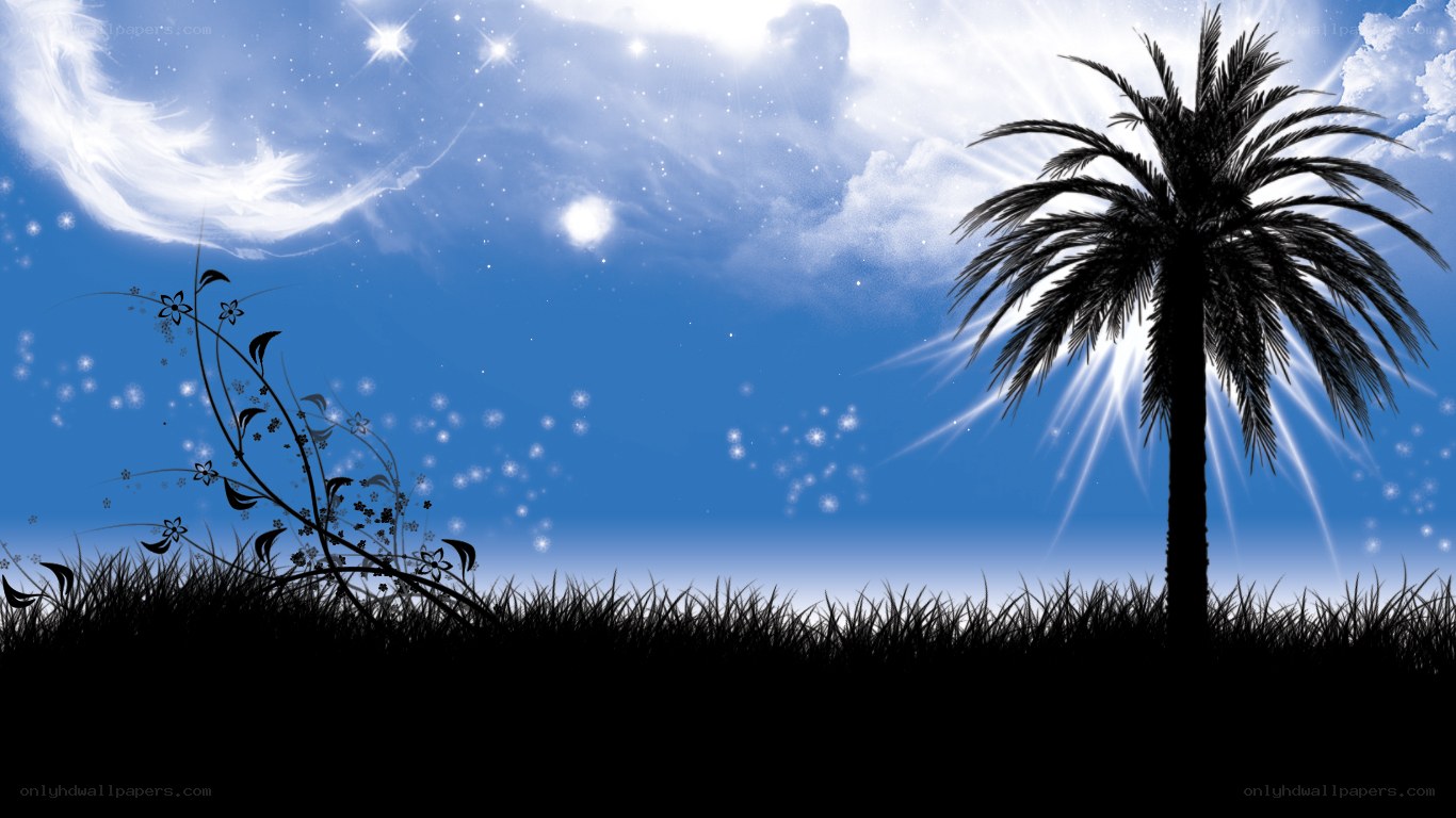 palm tree under starry sky