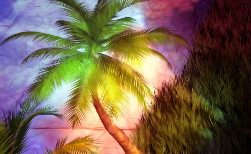 Palm Tree with Colorful Background