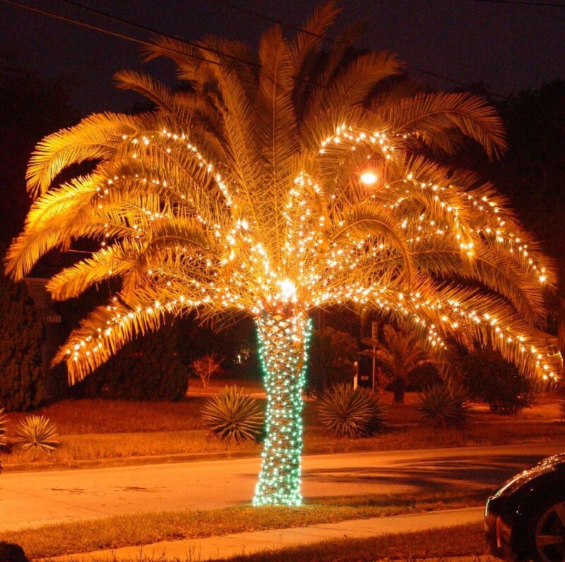 Palm Tree with Lights — Yellow
