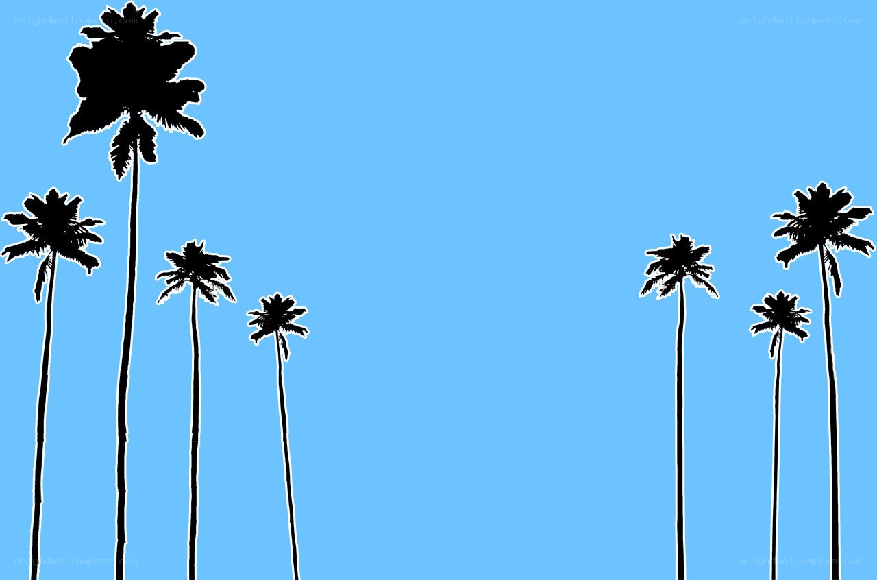 palm trees against blue sky
