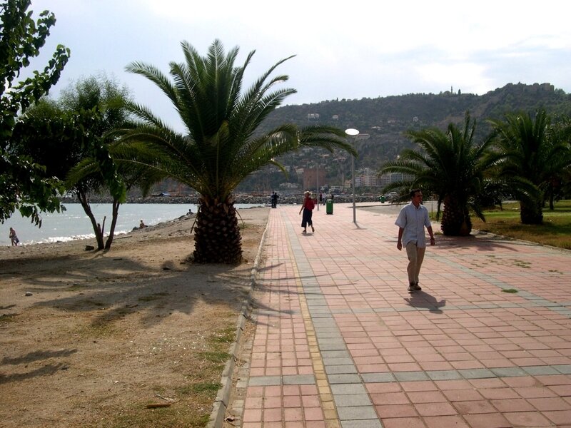 Palm trees along seaside promenade