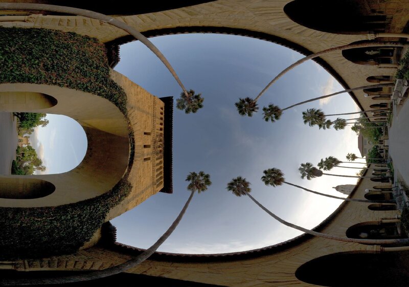 Palm Trees and Arches