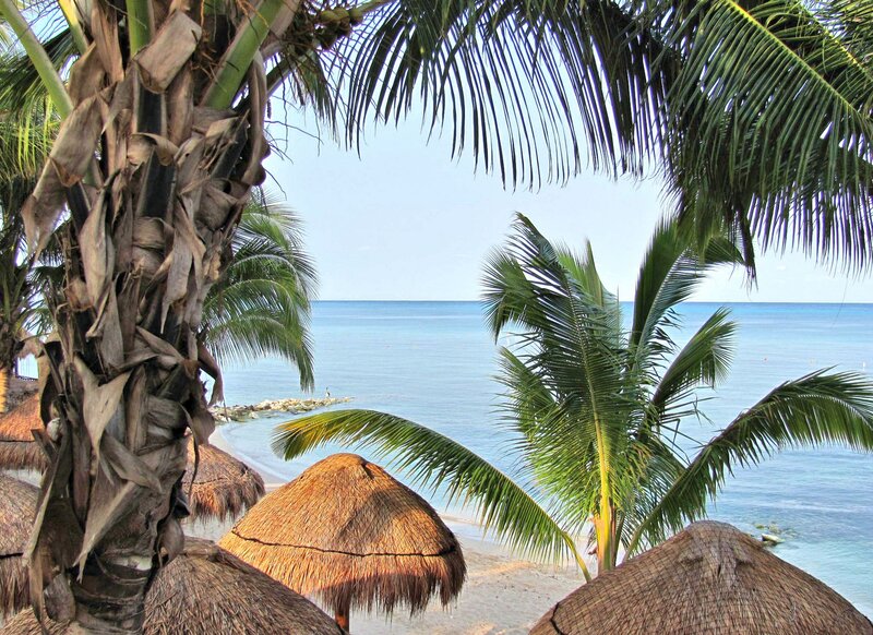 Palm Trees and Beach Umbrellas